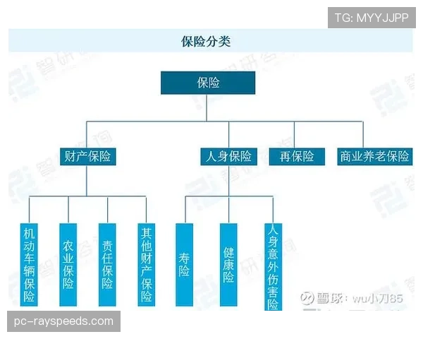 业余赛事井喷，安全保障与保险体系能否跟上发展速度？